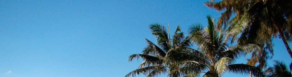 Minecraft Cops N Robbers