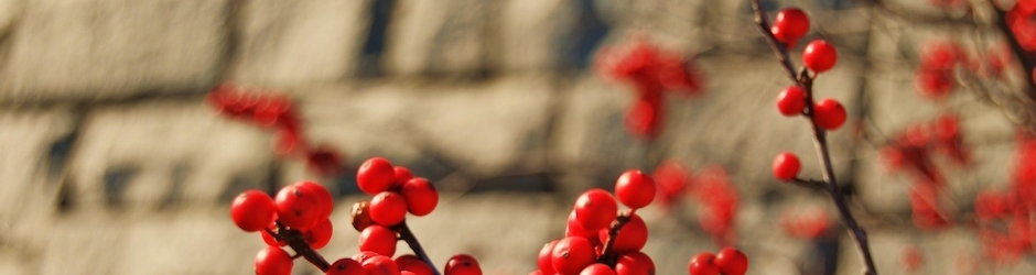 Como Baixar O Minecraft