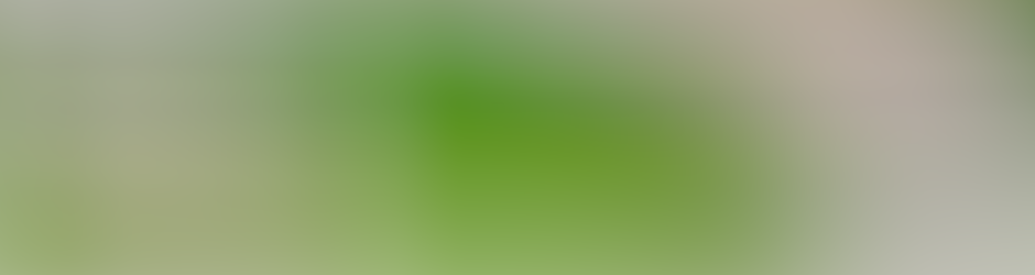 أكلات ريجيم