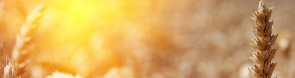 Peppa Pig Rebecca Rabbit