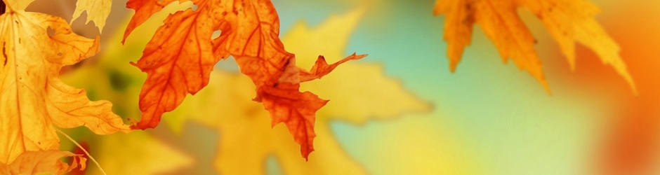 Peppa Pig Surprise Egg