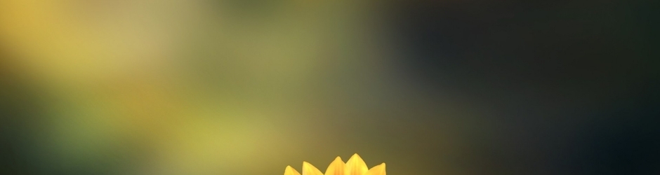 Peppa Pig Windy Castle