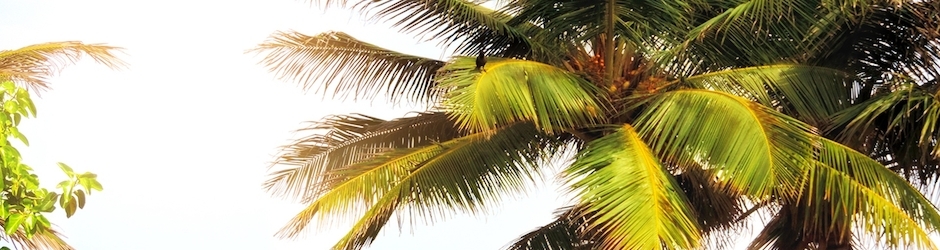 Minecraft 3D Gun Mod