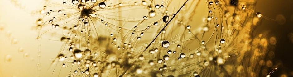 Top 5 Minecraft Songs