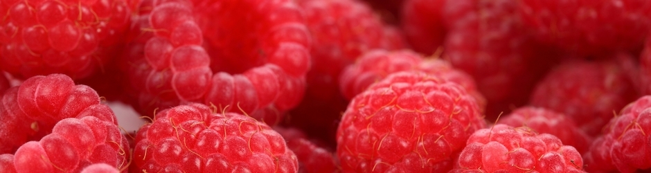 Minecraft 777 Vegeta