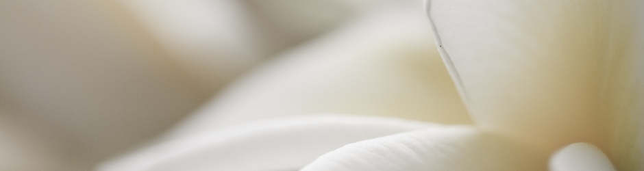 Asdf Movie 8 Minecraft