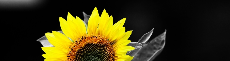 Mario Kart 8 Minecraft