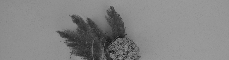 A Ceramica Peppa Pig