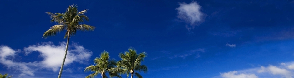 Peppa Pig Sol Mar E Neve