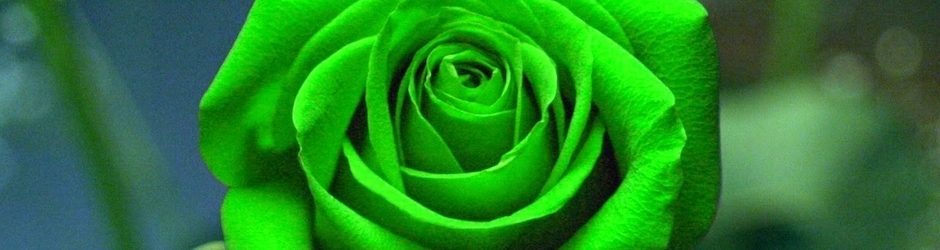 Global Social Sciences