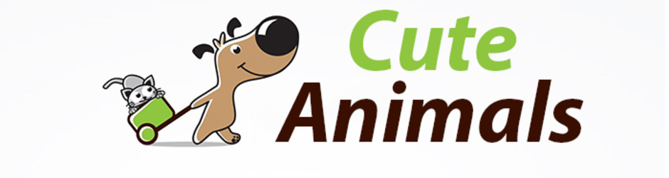 Cute Animals