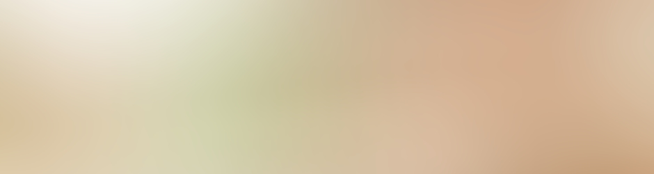 securityandfiresafety