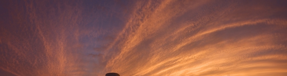 The best of Videogames