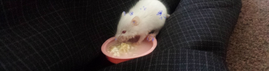 1 MR SJ Nibiru Blue Kachina