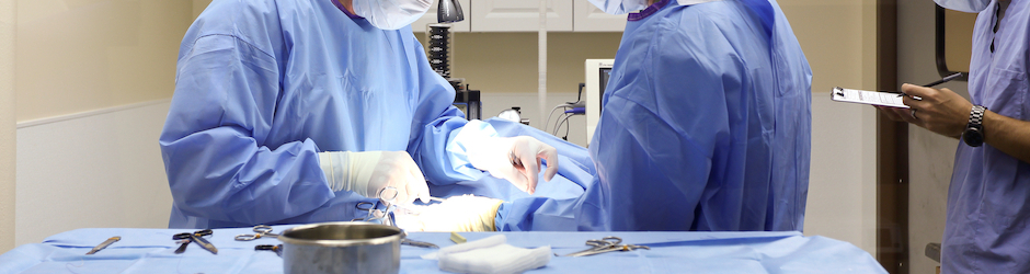 Veterinary Surgery