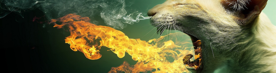 Ultimate Entertainment