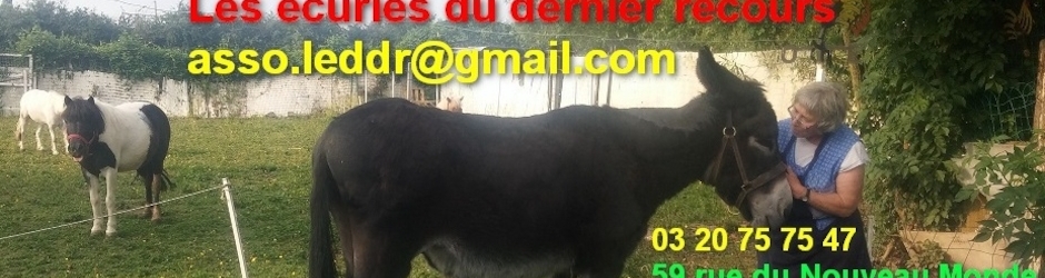 Les écuries du dernier recours de wattrelos