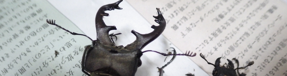 クワガタ採集ダイアリー