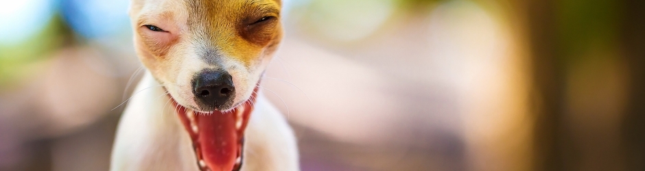 Улетное видео