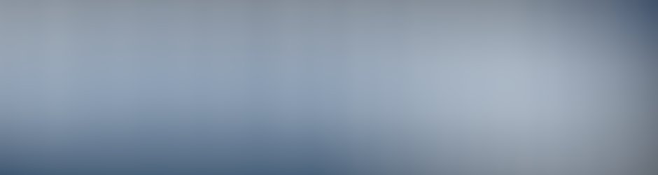 Rapid Services Group