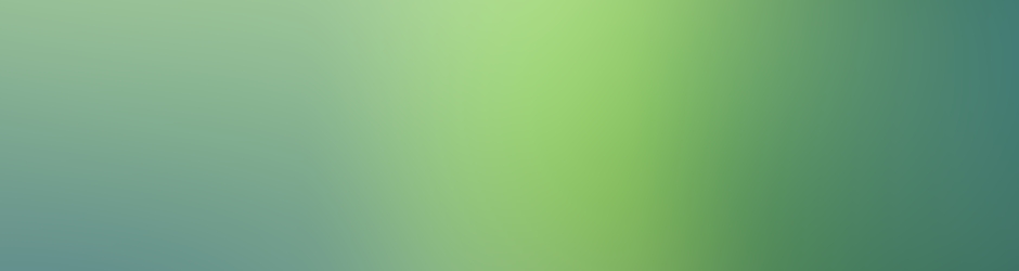 Mohammed Shahabuddin