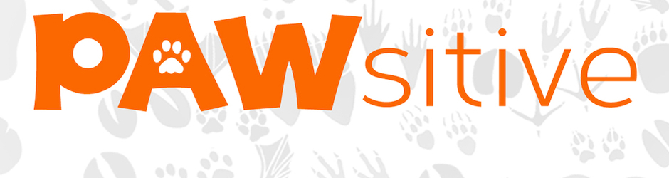 PAWsitive