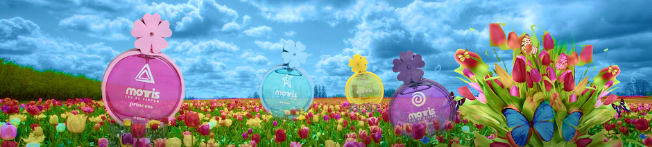 Distributor Parfum Original Pria Wanita