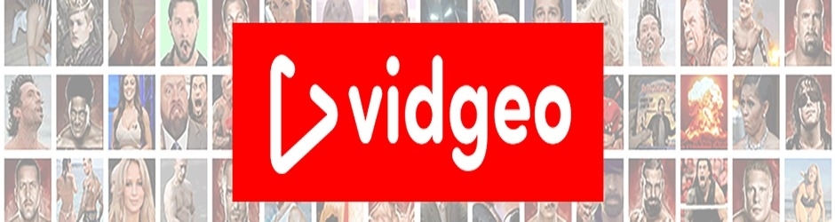 TheVidgeo
