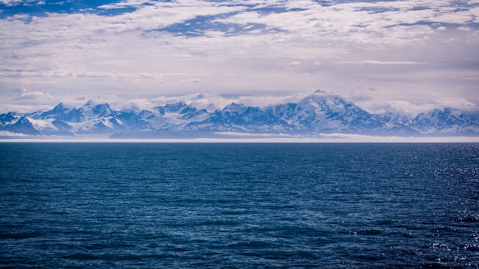 Revengeance Economics