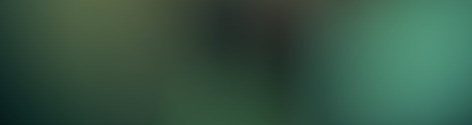 Rico Xiao Long  vs  N.W.O