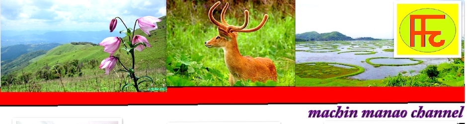 MACHIN MANAO CHANNEL