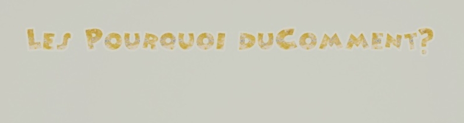 Les Pourquoi du Comment