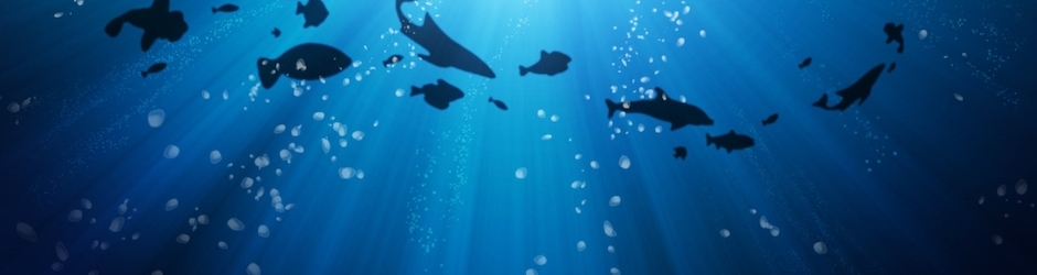 Владимир Панин