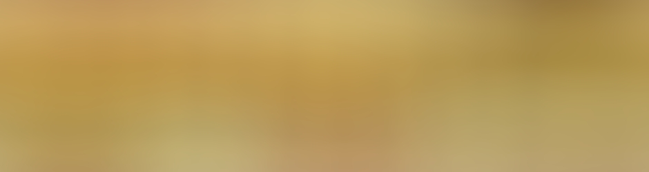 The Ridiculous 6 Full Movie