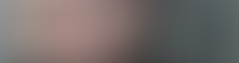 Francisco Torres Montealegre