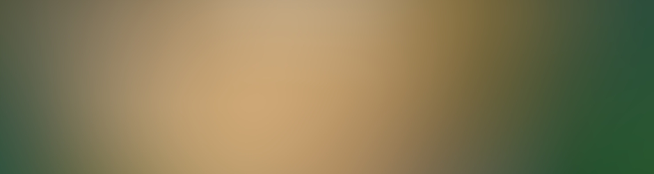 Thetonkung Minecraft