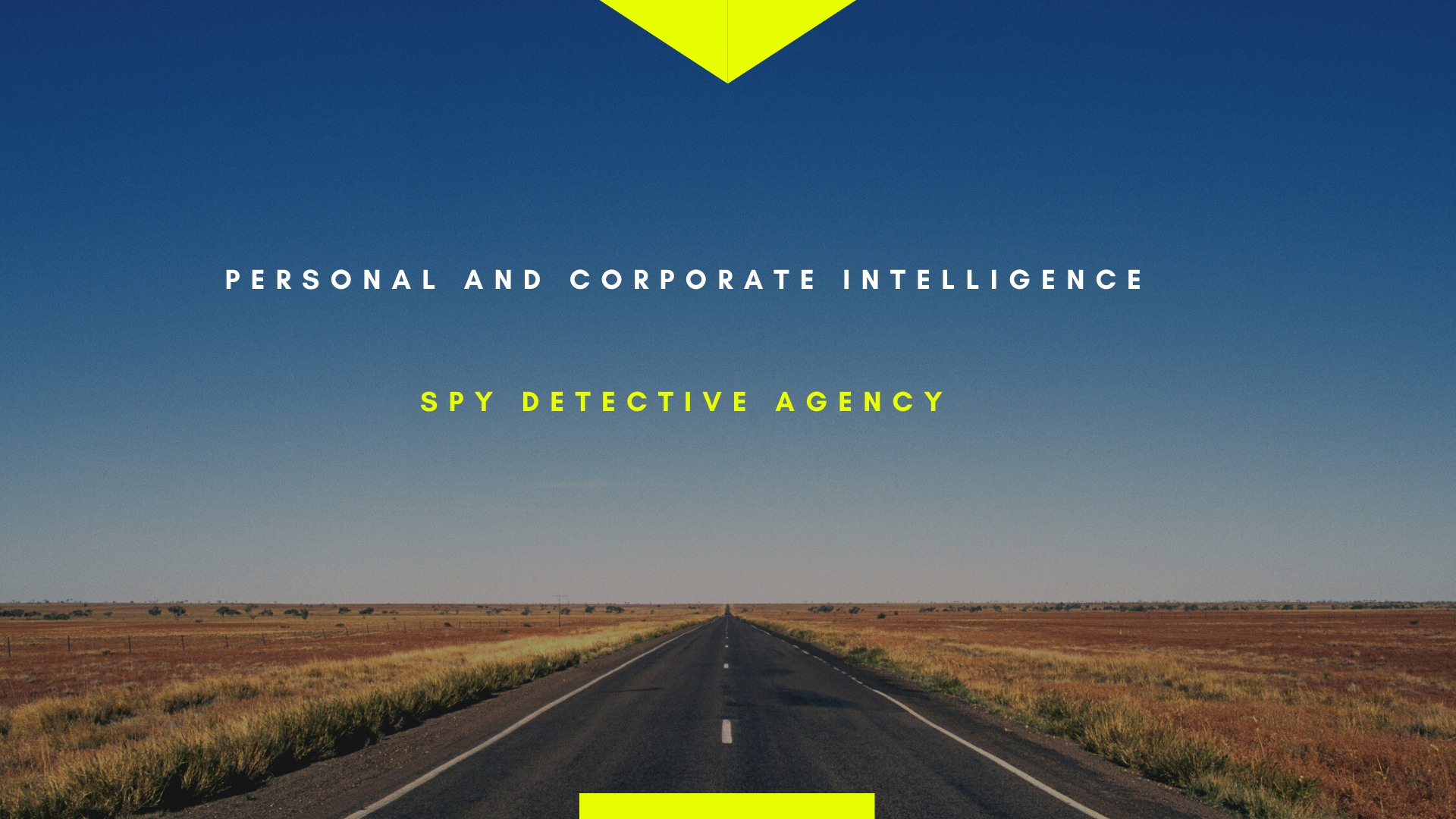 Spy Detective Agency