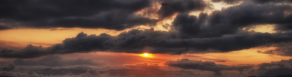 Андрей Журавлев