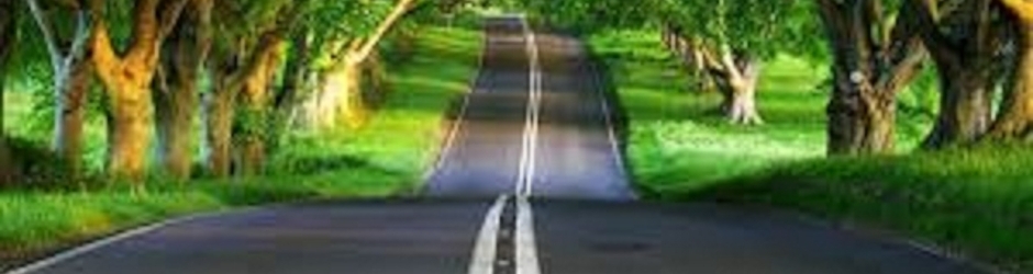 ANİME WORLD CHANNEL