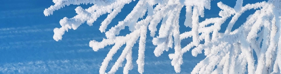 Виктория Бузыкина