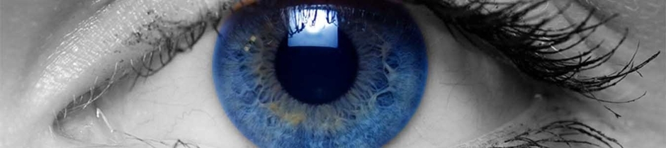 Orange County Wealth Management