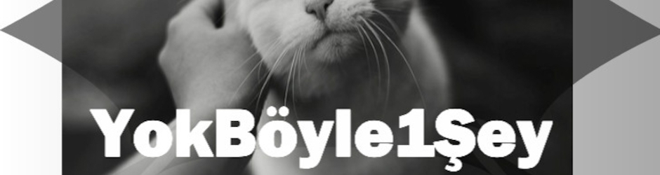 Yokboyle1sey