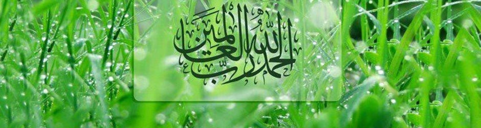 قناة ربي الله