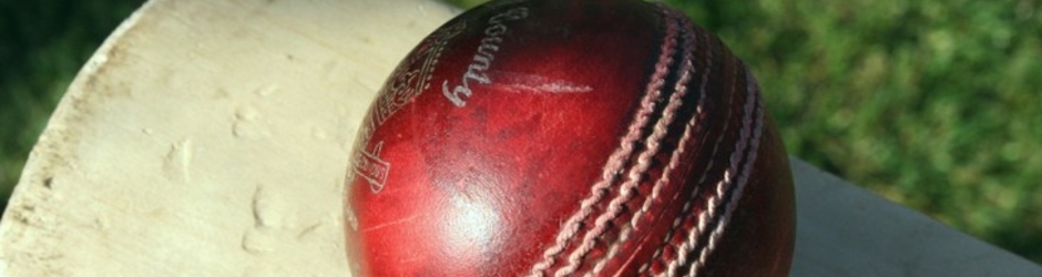 Passionate Cricket Lovers