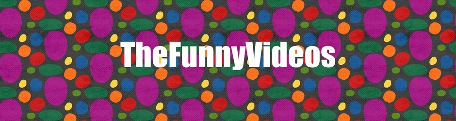TheFunnyVideos