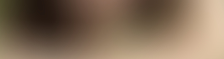 Absentmindedfirewood