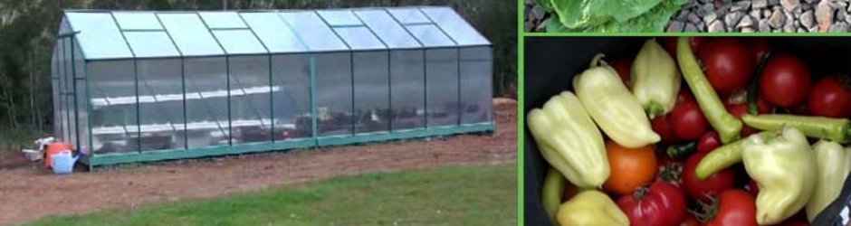 Hydroponic Greenhouse