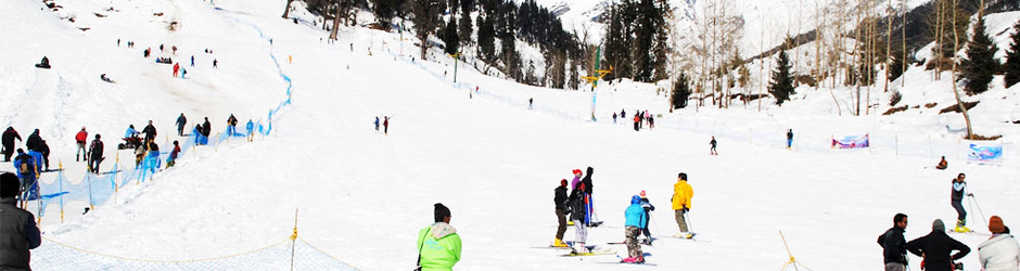 Nature Bloom Holidays