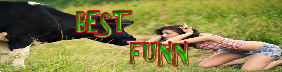 Best Funn