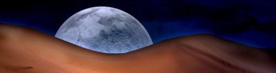 DesertMoon